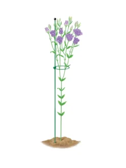 Peacock Mini Plant Support Rings 4", Set Of 2 -Garden Care Series Store 8610386 peacock4x36