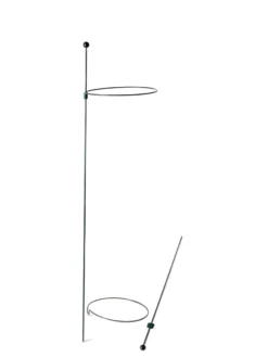 Peacock Mini Plant Support Rings 8", Set Of 2 13 Peacock Mini Plant Support Rings 8", Set Of 2 -Garden Care Series Store 8610388 9565 tif