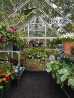 Canopia® By Palram Harmony™ Greenhouse, 6' X 14' -Garden Care Series Store 8610563 03V jpg