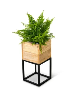 Tartu Elevated Square Planters 17 Tartu Elevated Square Planters -Garden Care Series Store 8611004 038
