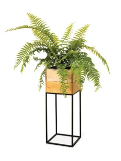 Tartu Elevated Square Planters 16 Tartu Elevated Square Planters -Garden Care Series Store 8611006 033