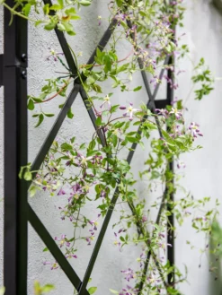 Lattice Gable Wall Trellis -Garden Care Series Store 8611130 011