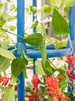 Fleur De Lis Obelisk, 67" -Garden Care Series Store 8611663 0607 tif