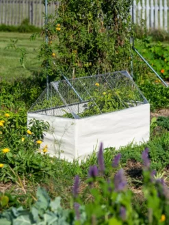 Crop Coop Covers Set -Garden Care Series Store 8611698 005 tif