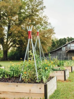 DIY Connector For Teepee Trellis 18 DIY Connector For Teepee Trellis -Garden Care Series Store 8611896 71 tif