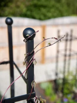 Essex Square Obelisk -Garden Care Series Store 8611984 278 tif