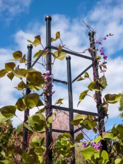 Essex Square Obelisk -Garden Care Series Store 8611984 354 tif