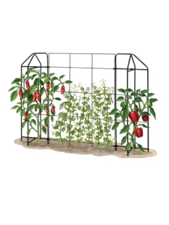 Zenith Trellis -Garden Care Series Store 8612035 art tif