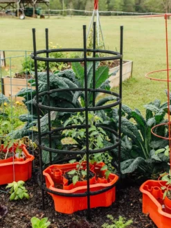 Deluxe Tomato Halos, Set Of 2 14 Deluxe Tomato Halos, Set Of 2 -Garden Care Series Store 8612045 228 tif