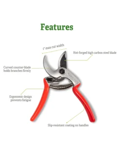 Castellari Mini Anvil Pruner 10 Castellari Mini Anvil Pruner -Garden Care Series Store 8612199 5