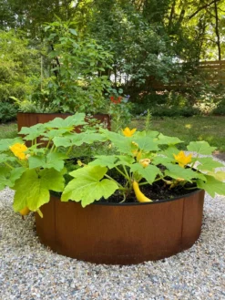 Birdies™ Corten Steel Round Raised Beds -Garden Care Series Store 8612422 0484 tif