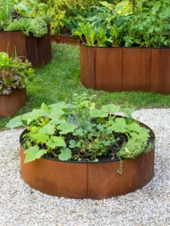 Birdies™ Corten Steel Round Raised Beds -Garden Care Series Store 8612422 1527 tif