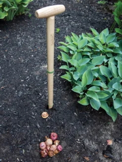 Wicked Big Dibber -Garden Care Series Store 8612667 0028