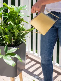 Precision Brass Watering Can -Garden Care Series Store 8612691 0011