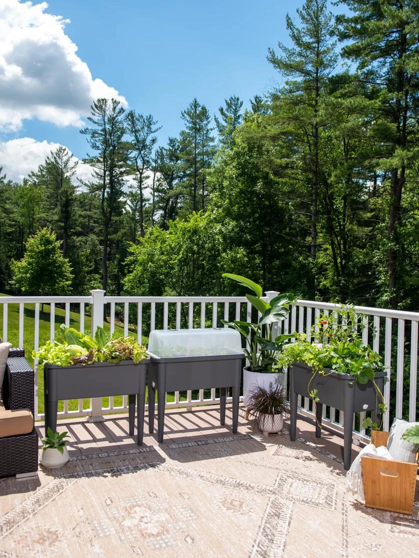 Self-Watering Standing Salad Planter With Cloche 5 Self-Watering Standing Salad Planter With Cloche - Image 5