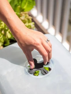 Self-Watering Standing Salad Planter With Cloche 9 Self-Watering Standing Salad Planter With Cloche -Garden Care Series Store 8612702 2034 tif