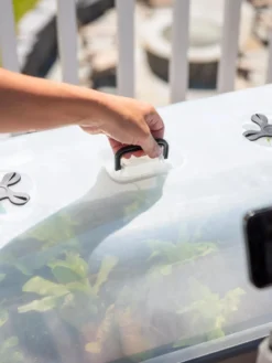 Self-Watering Standing Salad Planter With Cloche 10 Self-Watering Standing Salad Planter With Cloche -Garden Care Series Store 8612702 2036 tif