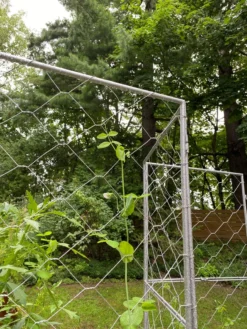 Chicken Wire Pea Trellis -Garden Care Series Store 8612718 7302