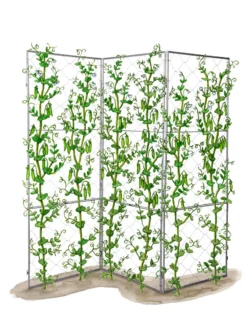 Chicken Wire Pea Trellis -Garden Care Series Store 8612718 peatrellis art chicken wire pea trellis