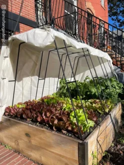 Cotton All Purpose Garden Cover -Garden Care Series Store 8612816 01CUST 1