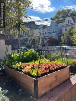 Zenith Garden Hoops, Set Of 4 14 Zenith Garden Hoops, Set Of 4 -Garden Care Series Store 8612816 02CUST