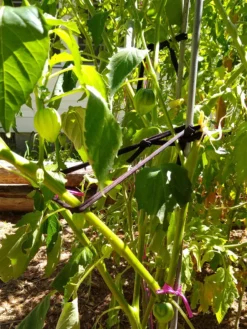 Farmyarn® Multipurpose Garden Tie, 2 Pack -Garden Care Series Store 8612948 02v