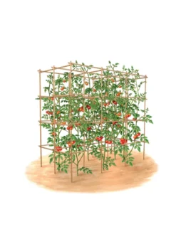 Tomato Six Pack Support -Garden Care Series Store 8613143 art flat