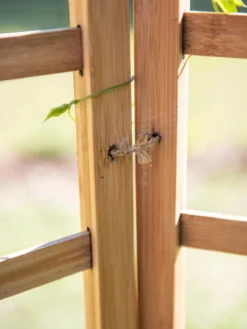 Bamboo Zig-Zag Trellis 24" X 36" -Garden Care Series Store 8613151 6483