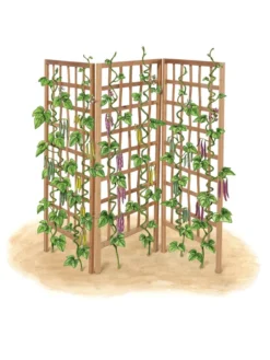 Bamboo Zig-Zag Trellis 24" X 36" -Garden Care Series Store 8613151 art flat