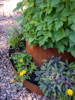 Birdies™ Corten Steel Tiered Round Raised Bed Kit, Tall -Garden Care Series Store 8613245 0195