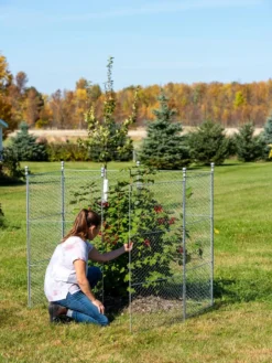Tall Chicken Wire Critter Fence With Gate -Garden Care Series Store 8613260 0044
