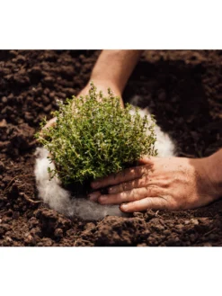 Hortiwool ®, 5 Pad Pack 11 Hortiwool ®, 5 Pad Pack -Garden Care Series Store 8613263 06v