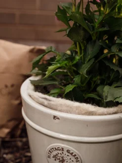 Hortiwool ®, 5 Pad Pack 14 Hortiwool ®, 5 Pad Pack -Garden Care Series Store 8613263 17v