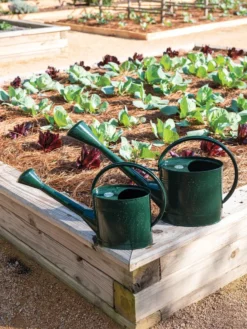 Long Reach Watering Can, Large -Garden Care Series Store 8613346 0148 1