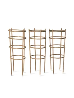Bamboo Tomato Cages, Set Of 3 -Garden Care Series Store 8613426 4679 bamboo tomato cages 3