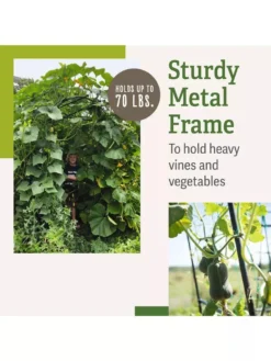Titan Squash Tunnel -Garden Care Series Store B07932DMCR plantsupport benefits 2