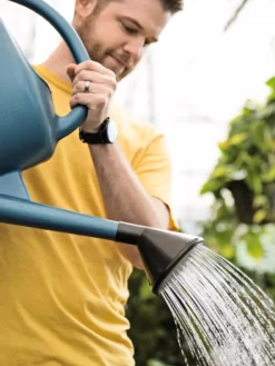 French Blue Watering Can -Garden Care Series Store ChrisAhrensSquare 0118 tif