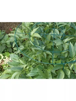 Grow Through Supports, Set Of 3 -Garden Care Series Store GS40172 01 1