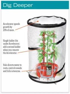 Tomato TLC Kits, Set Of 3 -Garden Care Series Store hiw 8594214 jpg